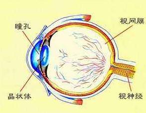 QQ截图20171114150031.jpg